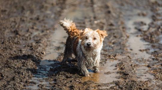 3 napos időjárás: Bosszantó hozadéka lesz a hét eleji enyhülésnek