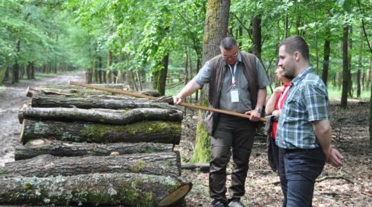 Letarolták a mezőnyt a zalaiak: Molnár Tamás lett az ország legfelkészültebb erdésze