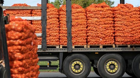 Menekül az afrikai és egyiptomi áru a Közel-Keletről: Elárasztja az EU-t az olcsó import, veszélyben a hazai termelők