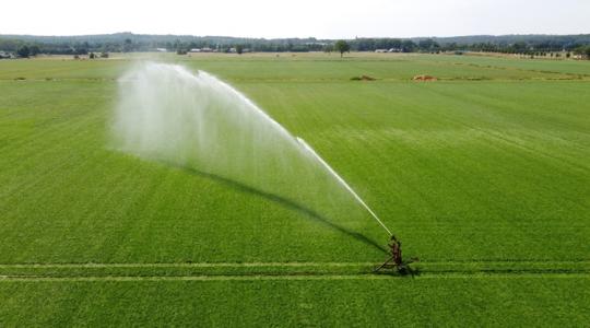 Így védekeznek a profik az aszály ellen 2026-ban