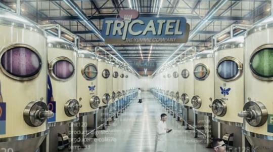 „Mi lenne, ha a mezőgazdaságot a jövőben a város alá rejtenék – és szennyvízzel működtetnék?” +VIDEÓ