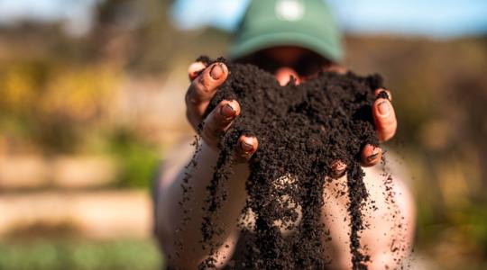 Elfelejthetjük a szántást? Elképesztő carbon farming megoldások fiatal újítóktól