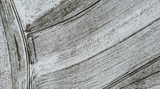 Így teheti tönkre a fagy a gabonát: mutatjuk a kritikus hőmérsékleti határokat