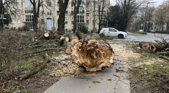 Így tarolta le az orkán ma a fél országot