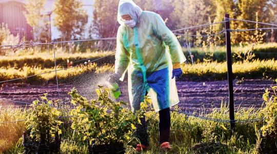 Gyakorlati útmutató: segítség érkezett a gazdáknak az inváziós fajokkal szembeni harcban
