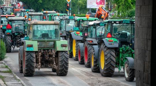 Elszántak: ötödik napja tart a tejtermelők blokádja déli szomszédunknál