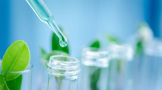 A Lidea és a DSG-hez tartozó Agronutrition egyesíti szakértelmét a vetőmag-technológia területén