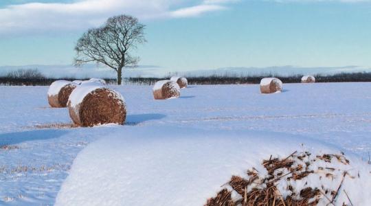 Zord idő jön a hétvégén – mutatjuk, hol lehet havazás