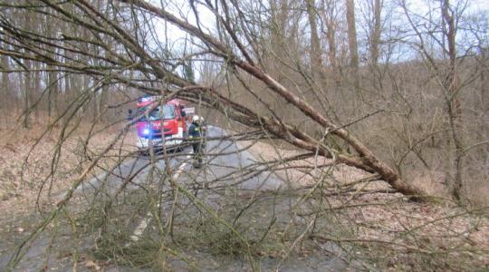 Így pusztított a ciklon: fák dőltek ki, vonatok álltak le