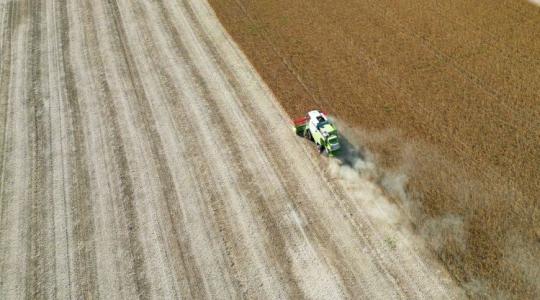 Vendégmunkás-stop: attól tartanak a gazdák, hogy nem lesz, aki elvégezze a munkát