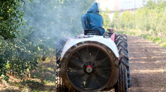 Időjárás: reggel lesz egy időablakunk a permetezésre