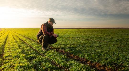 Emelkedő termelési költségek – Ki bírja tovább?