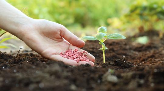 Ébredezik a kert: itt az ideje a tavaszi trágyázásnak