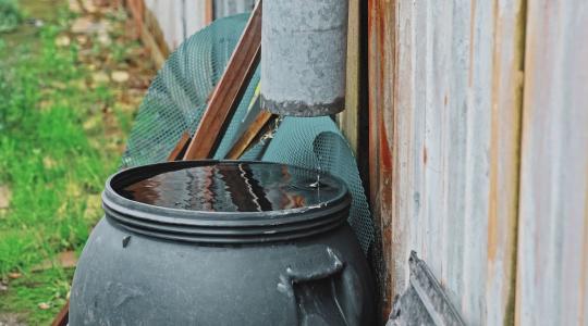 Esővízgyűjtő hordók fertőtlenítése és algamentesítése nyáron