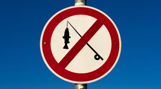 Már megint egy tiltás: fontos változások a horgászoknak