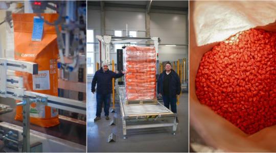 Ez sok gazdát érint:  Új növények a KWS vetőmag-előállító portfóliójában