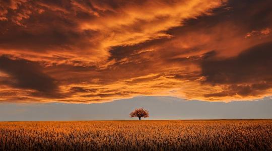 Dominóhatás a magyar gazdaságban: Miért nem elég csak az aszály ellen védekezni?
