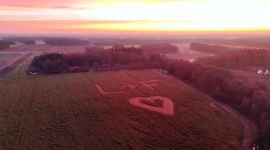 Különleges üzenet nőtt ki a földből Németországban