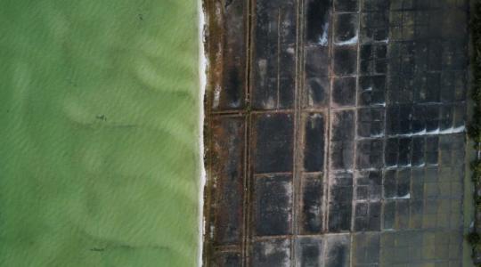 Nincs többé láthatatlan jégkár: A műholdak, amik minden centimétert ellenőriznek a parcellán