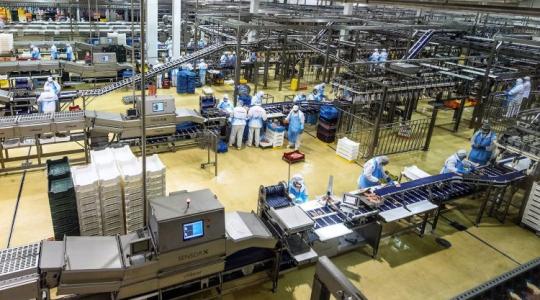 Ha nincs ember, nincs termelés – 350 milliárdos fejlesztésre készül a Master Good