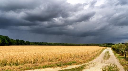 Agrártámogatás: Több döntés a kormány kezében, de jön a kifizetési plafon