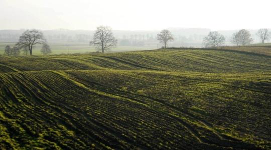 Talaj pH mérés otthon: gyors módszerek + mikor kell labor?