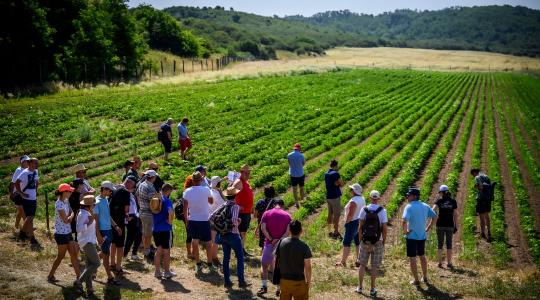 Van egy jó agrárötleted? Ezzel a pályázattal befektetőket is szerezhetsz hozzá