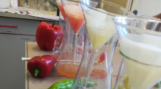 Február 5-ig lehet jelentkezni a MATE gyümölcs- és zöldségfeldolgozó képzésére