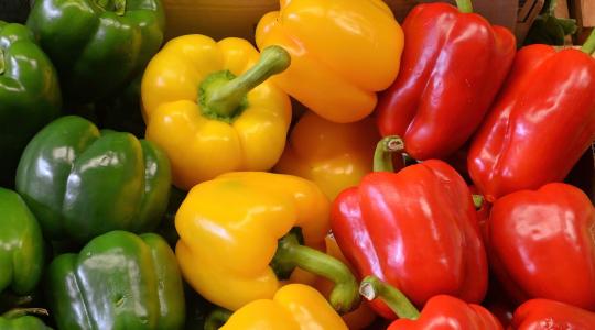 Több mint 40 százalékkal drágult a paprika – bizonytalan a folytatás