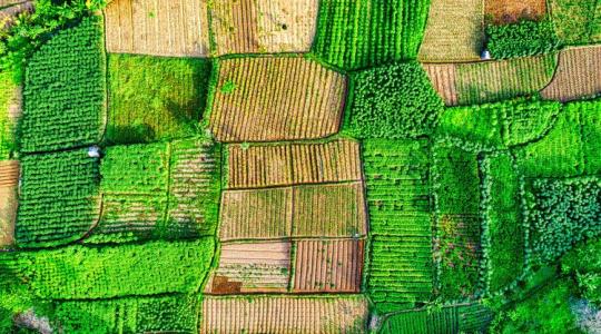 99 ezer tonna marhahús és vámmentes cukor: ezt hozza az uniós piacra a brazil óriás