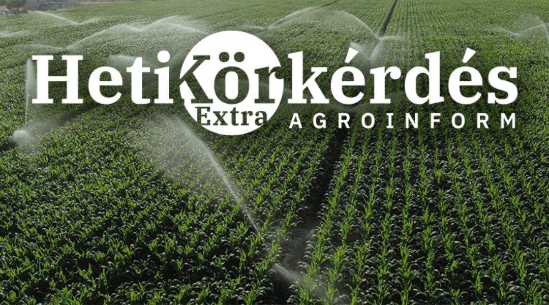 Kertészeti öntözéstechnológia: Mit takar a precizitás és az optimum elérése a kertészeti kultúrákban? – Heti Körkérdés Extra