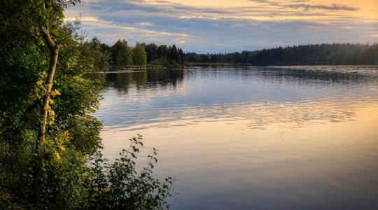 Mérgezés vagy vaklárma? Azonnali mentőakció indult egy népszerű tó szennyezése miatt