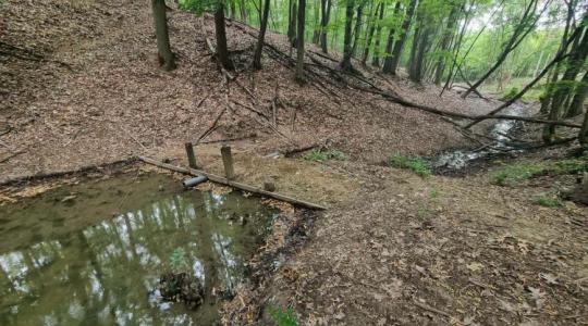 Lajtos kocsival hordják a vizet a vadnak – súlyos az aszály hatása
