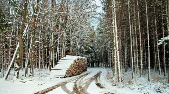 Vigyázat, tűzifacsalók! Ne utalj pénzt erre a számlaszámra!
