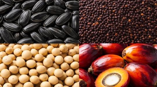 Nem nőnek tovább a növényolajárak