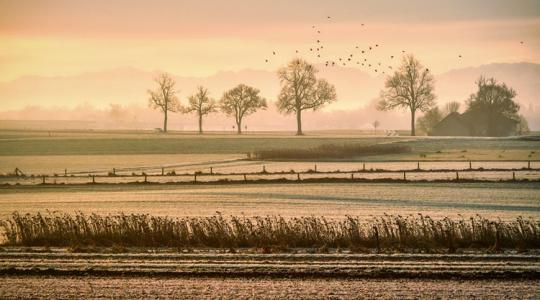 3 napos előrejelzés: Veszélyben a fagyérzékeny növényzet, mutatjuk, hol lesz a leghidegebb