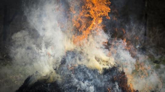 Tombolnak a lángok Kaba mellett: mentik a szarvasmarhákat a tűzoltók