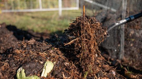 Komposzt felpörgetése februárban – mitől indul be újra a halom?