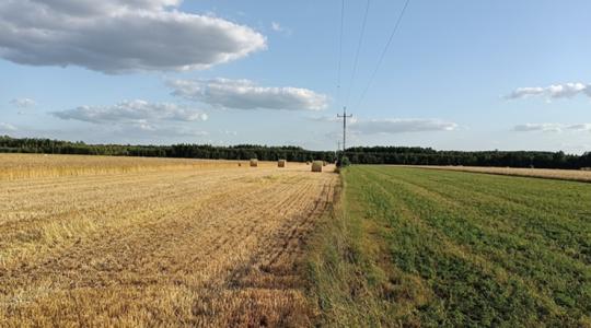 Vasárnapra ismét labilissá válik az időjárás