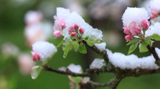 20 fokos tavasz vagy visszatérő tél? Itt a nagy márciusi időjárás-prognózis