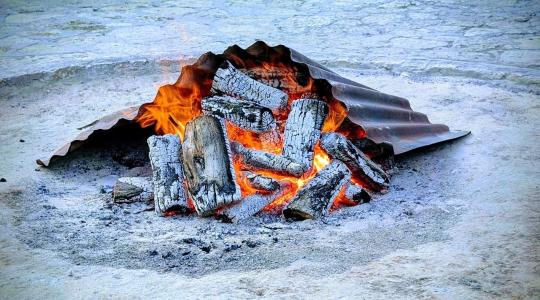 Hamu a kertben: februárban hova teheted, és hova TILOS?
