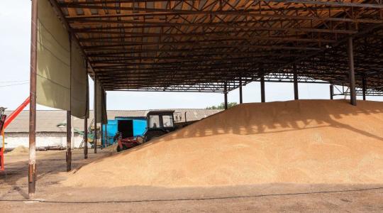 Nyomás alatt a kalászosok árai