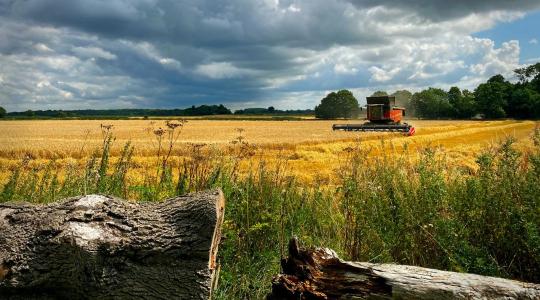 Forró nyári napok, érkező záporok – időjárás a hét elejére