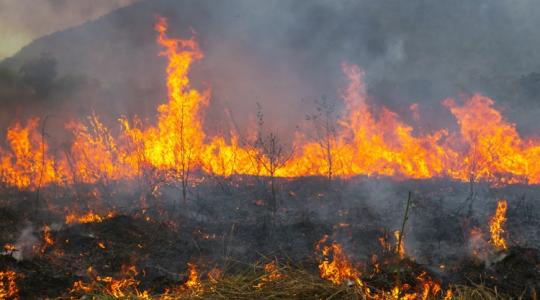 Traktorokkal vágják el a lángok útját: 70 tűzoltó és 23 jármű küzd