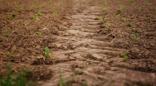Hétvégi időjárás: Berobban a tavasz, de a hajnalok okozhatnak még gondot