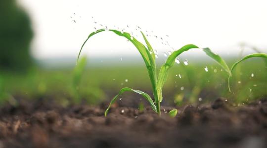 Akár 40 százalékos megtakarítás: Itt folyik el a pénz az öntözőrendszerekben