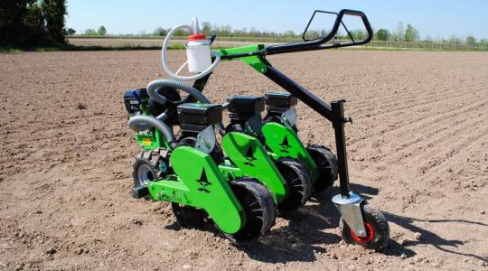 Paradicsomot vákuummal? Meghökkentő pontosság az Agroinform Piacterén +VIDEO