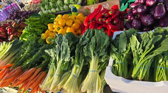 Rekordközeli hozamok, nyomott árak – ilyen volt a 2025-ös zöldségszezon