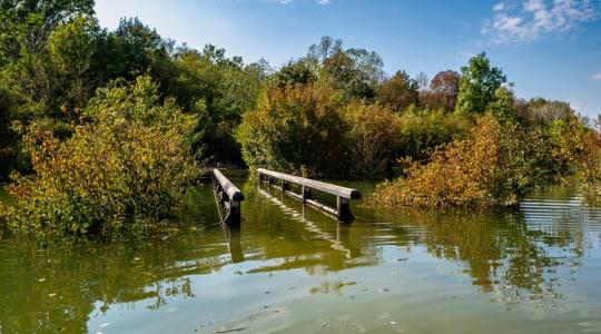 1 méter 1 nap alatt: mutatjuk, kell-e tartani az árvíztől a Dunán