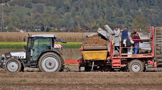 Merre tart a hazai TÉSZ-szabályozás?